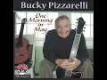 This Nearly Was Mine - Bucky Pizzarelli