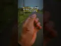 Download Lagu Hm😔..#shorts #viral #viralvideos #unfrezzmyaccount #shortsviral #youtube #viralyoutube