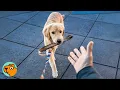 Download Lagu Golden Retriever Refuses to Put Down His \