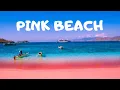 Pink Beach Komodo National Park Indonesia