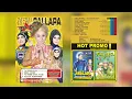 Download Lagu New Pallapa Religi Vol 8 Ya Rasulullah