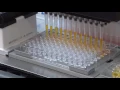 An MCA 96 is performing a serial dilution