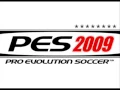 Anderson Shelter  -Do It Again (Pes 2009 Soundtrack)
