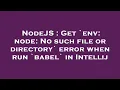 NodeJS Get env node No such file or directory error when run babel in Intellij