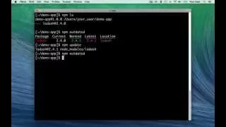 Updating local packages