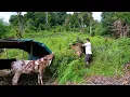 Download Lagu bhumi rai's village life in rural Nepal || life in rural Nepal || @bhumicooking