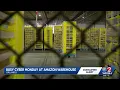 Inside an Amazon warehouse in Florida on Cyber Monday