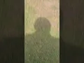 Chasing a beaver wasn t fun