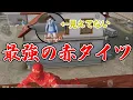 Download Lagu 赤タイツが屋根上に伏せたら誰も気づかないのヤバ過ぎるwwwww　#荒野行動