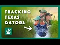 Tracking Texas Gators