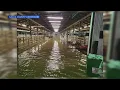 Gallia County junior fair back on after weekend flooding