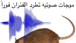 Sound Waves To Expel Mice From The House 