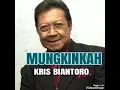 Download Lagu Mungkinkah - KRIS BIANTORO ( lagu jadul )