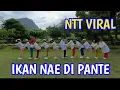 Download Lagu IKAN NAE DI PANTE -  ALFRED GARE FT PAX GROUP // NTT VIRAL.LINE DANCE