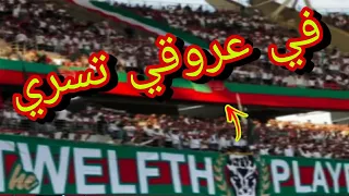 الشناوة يبدعون بأغنية في عروقي تسري الجديدة 