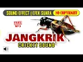 Download Lagu Suara Jangkrik - Cricket Sound Effect No Copyright (Free Download MP3)