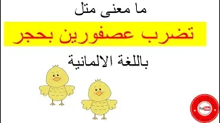 248 ماذا يعني مثل تضرب عصفورين بحجر باللغة الالمانية 