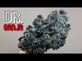 Hash Burger THCa Flower by Dr Ganja