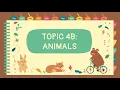 TOPIC 4B ANIMALS