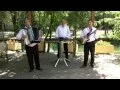 Download Lagu Formatia Musatinii - Hora (Instrumental)