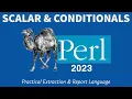 Perl Programming - Scalars Conditionals 2023