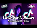 DJ Est Ce Que Tu Maimes Breakbeat Slow Remix Tiktok Fyp Viral Version 2024