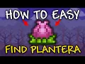 How to Find Plantera in Terraria EASY How to find plantera