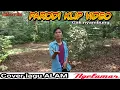 Download Lagu Cover lagu\