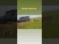 Download Lagu Olonkera playing with Kidong'oe 🦁🦁📍 Masai Mara 🇰🇪 📽 kasoecharles
