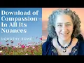 Download Lagu Download of Compassion In All Its Nuances - Dorothy Rowe