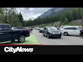 It s insane Some say the Banff experience feels watered down due to the rush of summer tourists