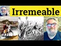 Irremeable Meaning - Irremeable Definition