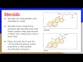 Lipids 3 Steroids Cholesterol and Steroid Hormones