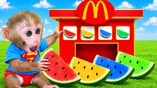 Monyet Bon Bon Imut merawat anak-anak itik di mandi busa dan naik mobil ke kebun memanen buah