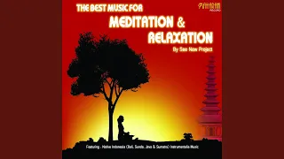 Download Meditation for the Soul MP3