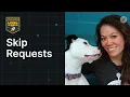 Skip Requests Postman Level Up