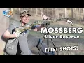 Mossberg Silver Reserve Eventide Turkey 28 Gauge - How Accurate Are the Barrels
