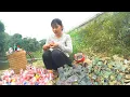 Download Lagu Poor girl cleans river for scraps and discovers lucky piggy bank filled with money