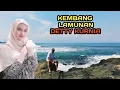 Download Lagu KEMBANG LAMUNAN-DETTY KURNIA, Pop Sunda Lawas