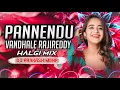 Download Lagu PANNENDU VANDHALE RAJIREDDY HALGI MIX BY DJ PRAKASH MBNR 8106004107