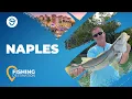 Fishing in Naples FL All You Need to Know FishingBooker