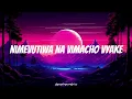 Usiniache – Licky Tones (Official Lyrics Video)
