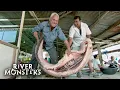 Jeremy Wade s Surprising Discoveries at LOCAL FISH MARKETS Around the Globe River Monsters