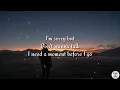Download Lagu Alan walker - on my way mp3