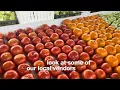 Charleston WV Capitol Market Tour Local Produce Gritt s Farm Hidden Downtown Gem