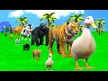 Download Lagu Long Slide Game With Cow Elephant Gorilla Hippopotamus Tiger 3d Animal Game Funny 3d Animals