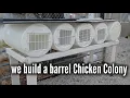 We build a barrel Chicken Colony step by step how we did it