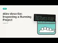ddev describe Inspecting a Running Project DDEV Tutorial for Beginners