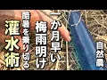 Download Lagu 【自然農】一か月早い梅雨明け　酷暑を乗り切る「灌水術」　2025年7月9日【natural farming】