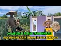 Download Lagu Cara tanam daun bawang yang subur dan tepat,kolaburasi @madrim125 dan pak sutris 